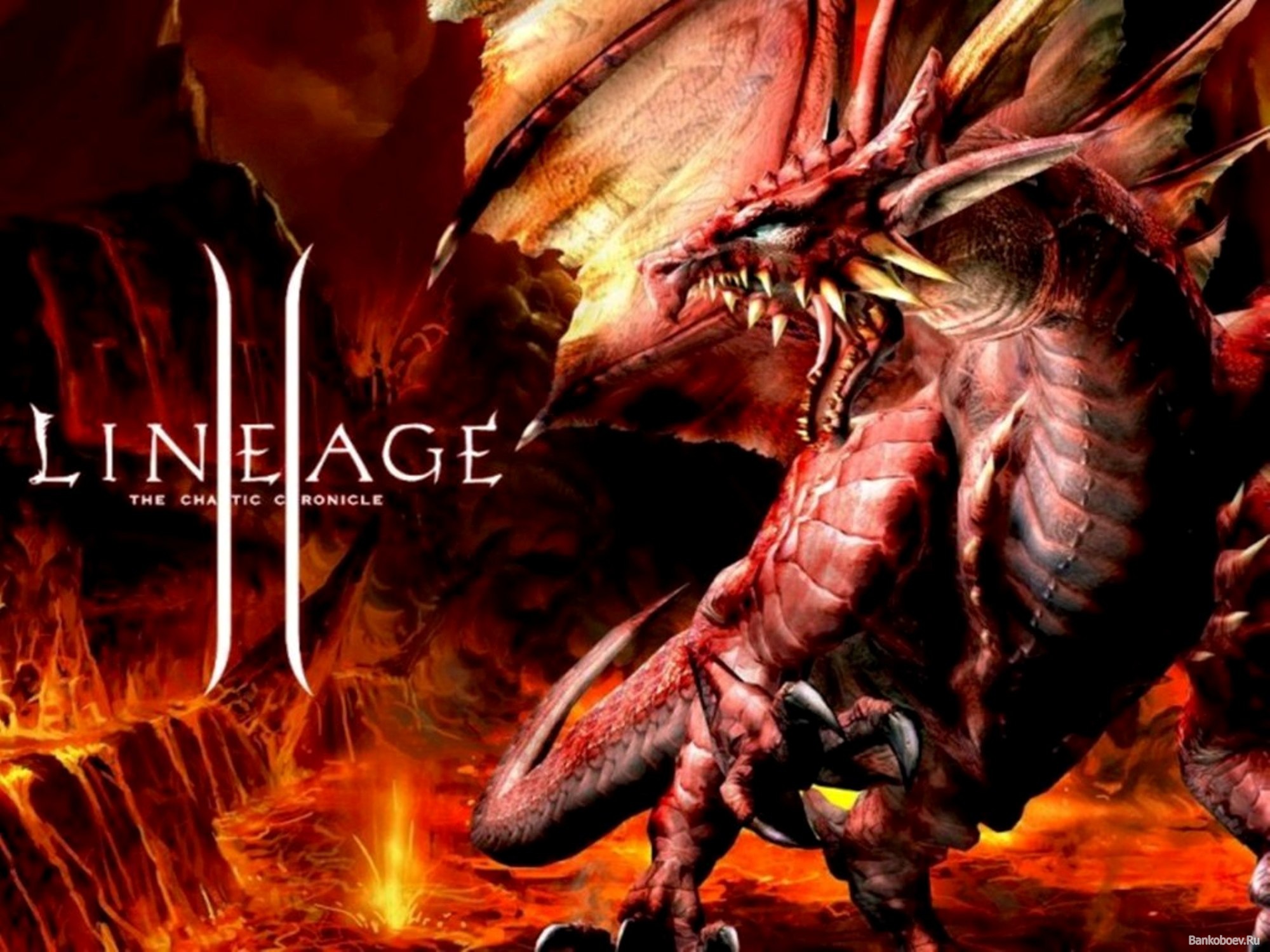 Lineage II - gra MMORPG po polsku