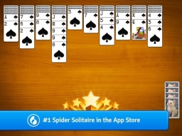 Spider Solitaire (Pasjans Pająk)
