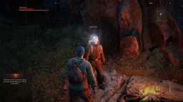 STALKER Online