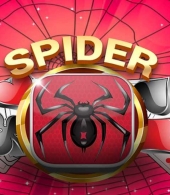 gra Pasjans Pająk (Spider Solitaire)