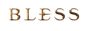 Bless Online logo gry png