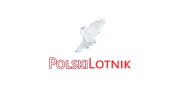 Polski Lotnik - Gry Strategiczne - Przegłądarki internetowe - po polsku PL