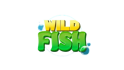 Wild Fish małe