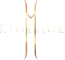 Lineage2M małe