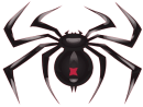 Pasjans Pająk (Spider Solitaire)