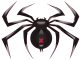 Pasjans Pająk (Spider Solitaire) małe
