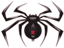 Pasjans Pająk (Spider Solitaire) małe