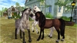 Star Stable - gameplay