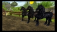 Star Stable - drugi gameplay