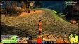 Guild Wars 2 - gameplay