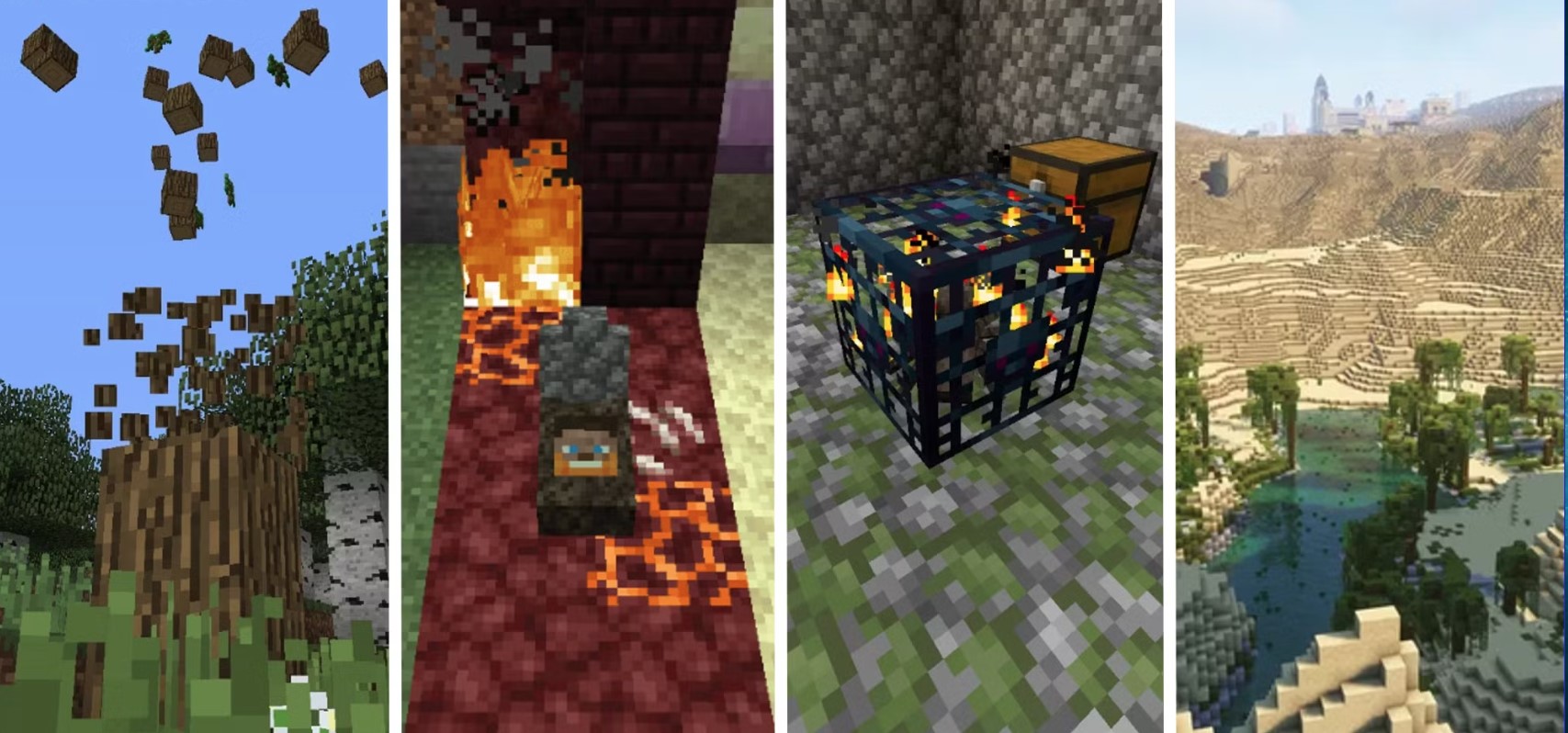 Minecraft VPS Hosting pack
