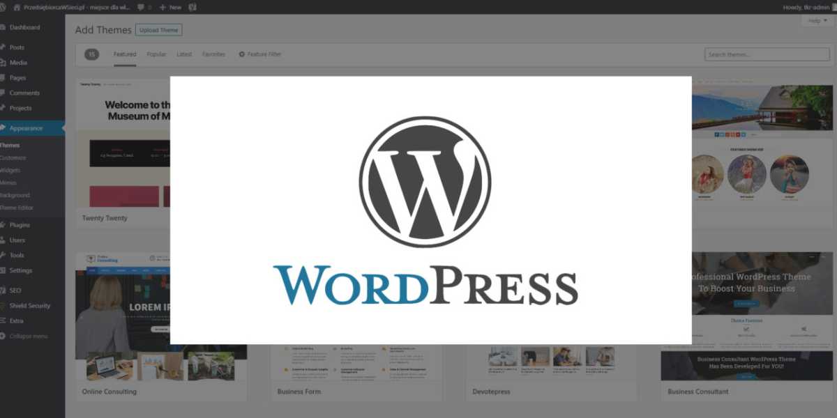 Strona na WordPress poradnik jak stworzyć
